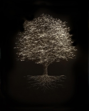 Sugar Maple incised painted aluminum