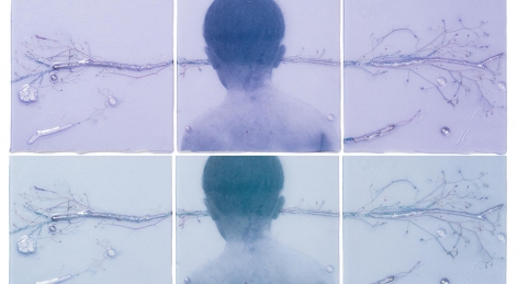 STILL example of color shifting glass