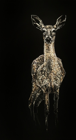 Mitchell Lonas Solace V, 2020