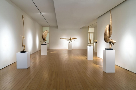 Gallery View 