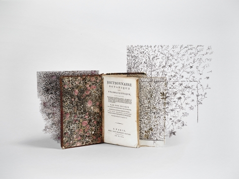 Bertrand Flachot Ex-Croissances XVIII, 2019