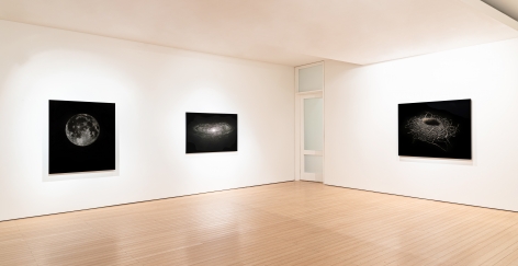 Mitchell Lonas Solace, 2021