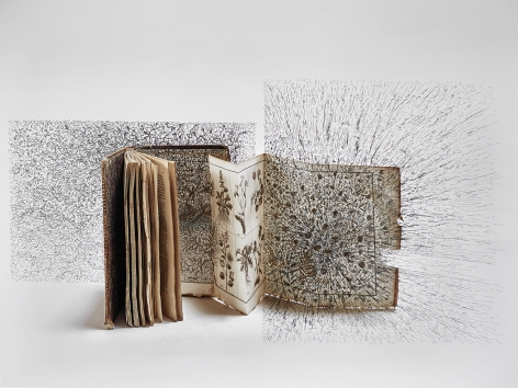 Bertrand Flachot Ex-Croissances XVI, 2019