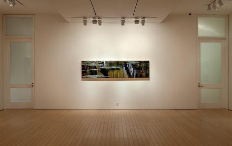 Gallery View