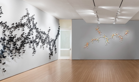 Gallery View 2020
