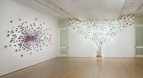 Gallery View