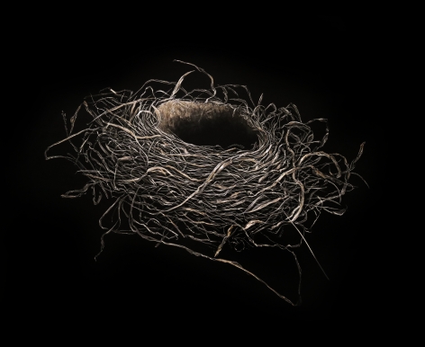 Mitchell Lonas Robin Nest, Winter 2020, 2021