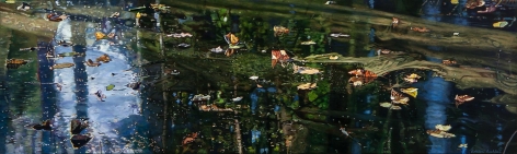 Surface Depth V