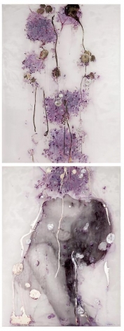 Elderberries carved, engraved, silvered and painted plexiglass, paper