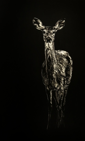 Mitchell Lonas Solace VII, 2020