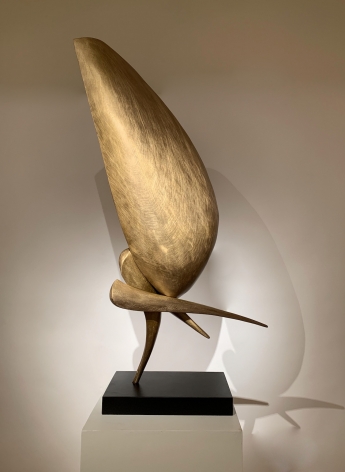David Borgerding FOUWS, 2019