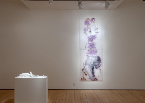 Gallery View