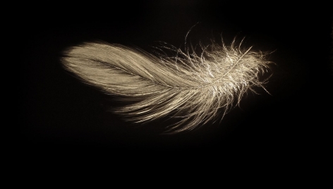 Alight Late March 2014