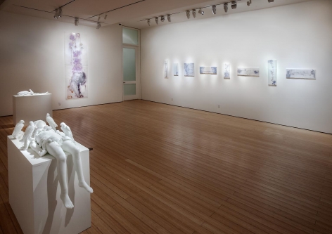 Gallery View