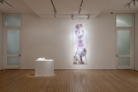 Gallery View
