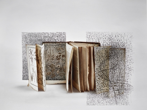 Bertrand Flachot Ex-Croissances XVII, 2019
