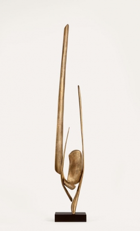 APAITA