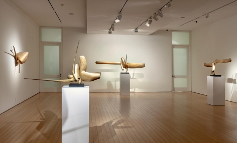 Gallery View