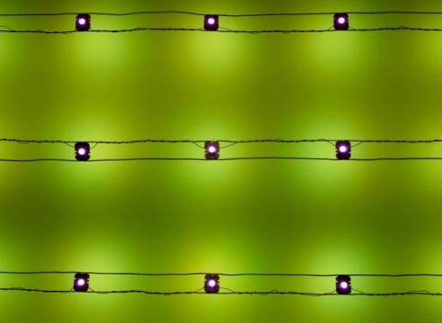 Kenzan Tsutakawa-Chinn, detail of L.E.D. light sculpture (green)