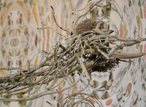Judy Pfaff