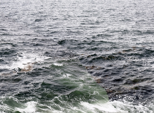 Barry Stone - Daily, in a Nimble Sea