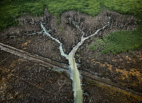 Edward Burtynsky
