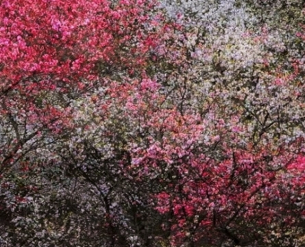 SHOJA AZARI & SHAHRAM KARIMI: THE COLD EARTH SLEEPS BELOW