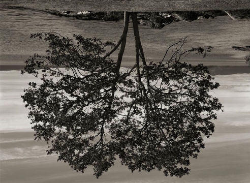 Rodney Graham