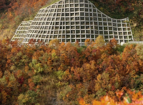 Yoko Ikeda & Toshio Shibata