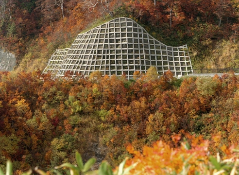 Yoko Ikeda & Toshio Shibata