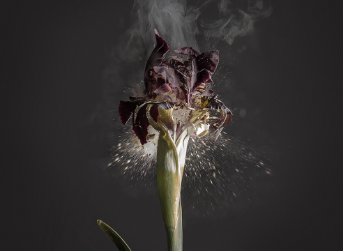 Ori Gersht