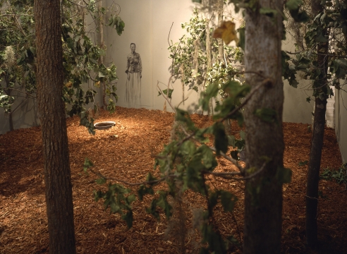 SANCTUARY: The Great Dismal Swamp