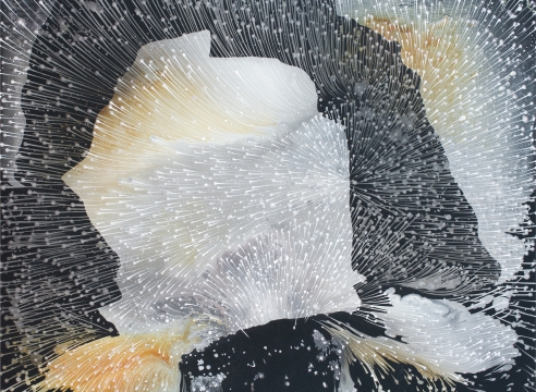 Barbara Takenaga