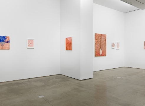 Installation view of Katarina Riesing, "Razor Burn"