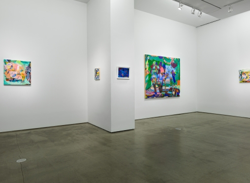 Installation view of Carolyn Case exhibition "Before it Sinks In"