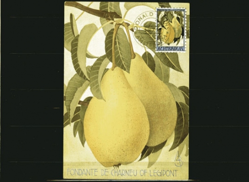 Estate of Donald Evans