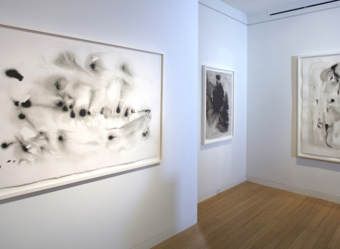 Whitney McVeigh: Elegy to Nature
