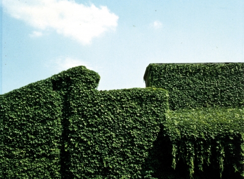 Luigi Ghirri