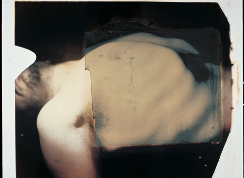 PAOLO GIOLI - La matière et l'image.