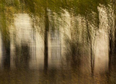 Amirhossein Heshmati