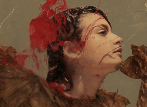 Farzaneh Ghadyanloo