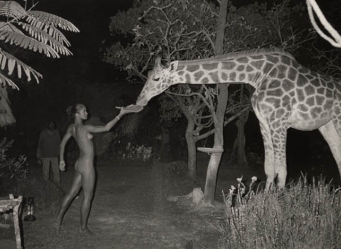 Peter Beard
