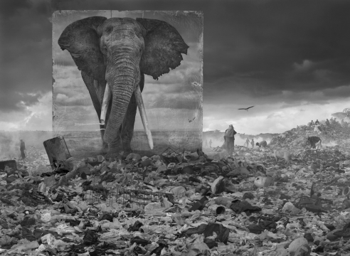 Nick Brandt