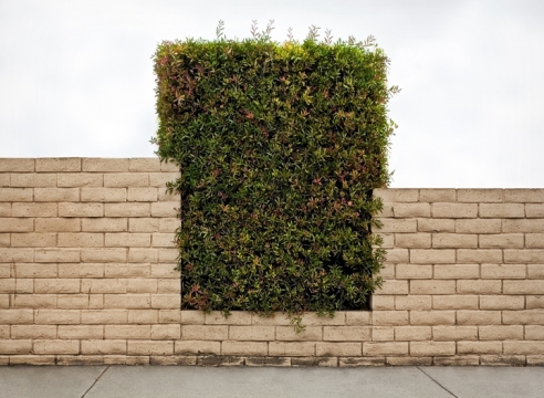 Brad Moore