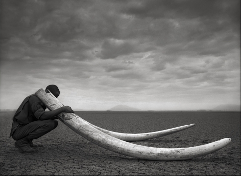 Nick Brandt