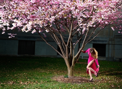 David Drebin