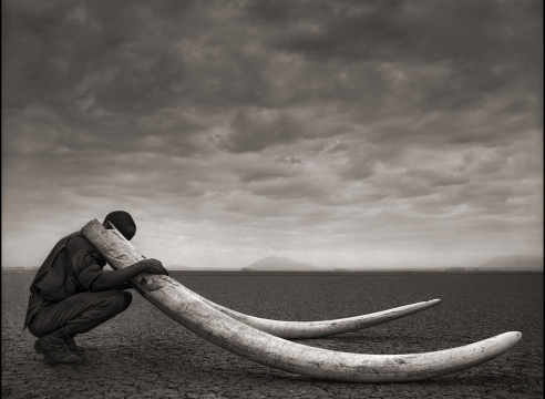 Nick Brandt