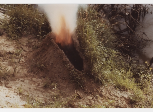 Irrigation Veins: Ana Mendieta and Carolee Schneemann Selected Works 1966 – 1983