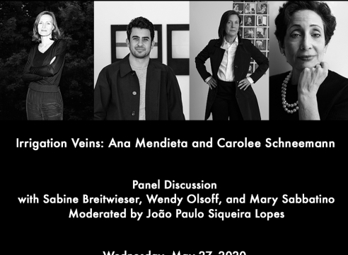 Panel Discussion "Irrigation Veins: Ana Mendieta and Carolee Schneemann"