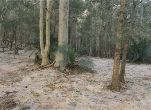 Rosemary Laing